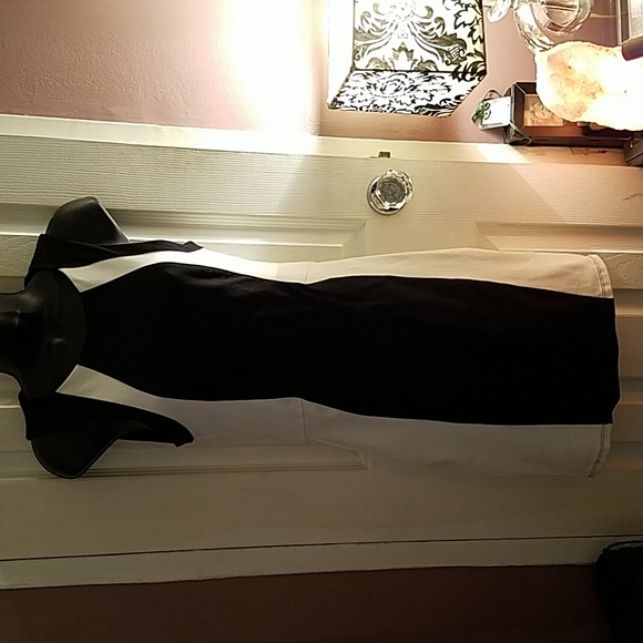 DAVID LERNER Colorblock Dress - Picture 4 of 7